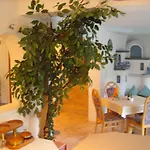 Haus Romantika