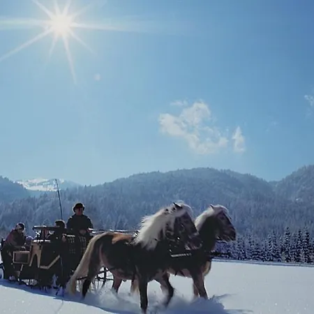 게스트하우스 Haus Romantika