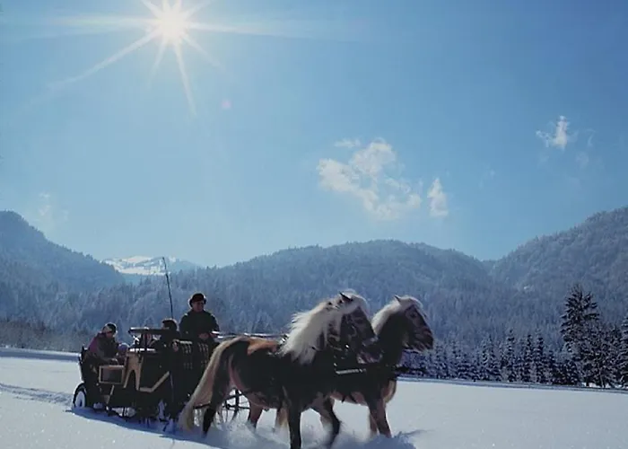 בית הארחה Haus Romantika